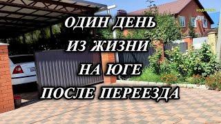 669ч Заготовки на зиму/Переехали жить на юг/Жизнь семьи на Кубани