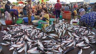 Cambodian Daily Early Morning Fish Market Scene - Routine Khmer People Buying Fish, Seafood & More