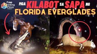 BUWAYA UMAWAY SA SAWA | Florida Everglade Wildlife