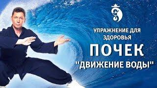 Упражнение для лечения почек Движение Воды. Цигун для почек