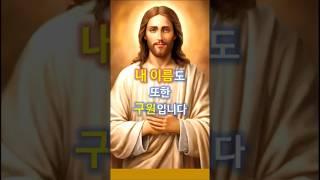 434. 내 이름도 또한 구원입니다    #쇼츠 #가톨릭  #천주교  #하.사.시. 보석 말씀 31
