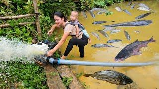 Catching Fish, Trapping Fish, Using high-power pumps, Catching many Fish in long-abandoned mud ponds