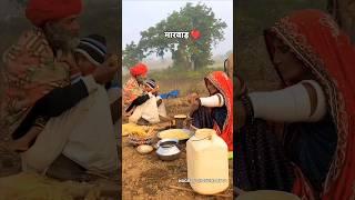 मारवाड़ ️#marwadi #shorts #village #desi #culture #rajasthan #life #gav #youtube #viralshort