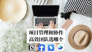 团队协作任务管理 软件怎么选？Notion｜Lark｜腾讯文档｜钉钉 横向对比