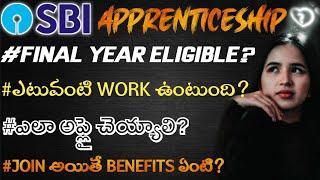 SBI Apprentice Job Profile In Telugu || SBI Apprentice Work Profile, How To Apply, Benefits, Salary