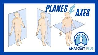 Planes of Motion & Axes of Rotation