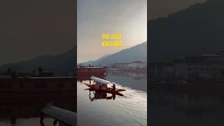 A small page from Kashmir #shorts #kashmirvlogs