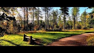 A Walk Though Wendover : Gateway to the Chilterns
