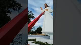 #divinemercyshrine