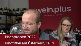 Nachproben 2022 | Pinot Noir aus Österreich, Teil 1