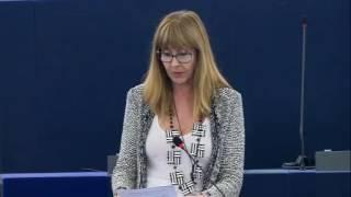 María Teresa Giménez Barbat 04 Jul 2017 plenary speech on international cultural relations