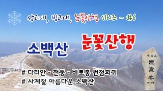 겨울왕국 소백산 눈꽃산행 : 천동 다리안 코스 / 상고대 산행 시리스 #6 / 블랙야크 명산100 / 산림청 100대명산 / 겨울에 가볼만한 산