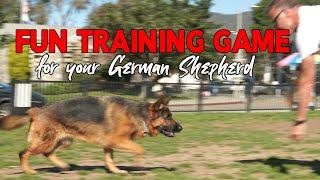 German Shepherd Training Game - make Obedience Fun for your DOG