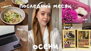 Последний месяц осени/ учеба в вузе/начало ремонта и наша жизнь