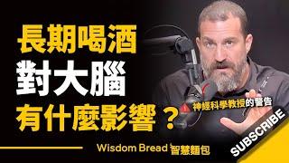 長期喝酒，對大腦有什麼影響？► 神經科學教授的警告 - Dr. Andrew Huberman 安德魯．胡伯曼博士（中英字幕）