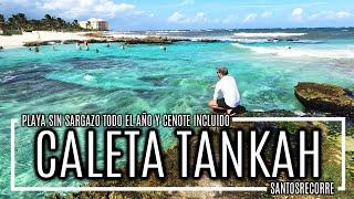  CALETA TANKAH - La PLAYA SIN SARGAZO. PLAN B PERFECTO si el sargazo arruinó tu viaje a CANCÚN