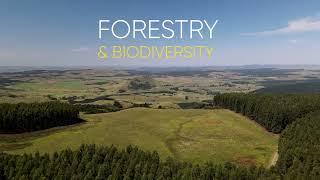 Forestry & Biodiversity (South Africa)