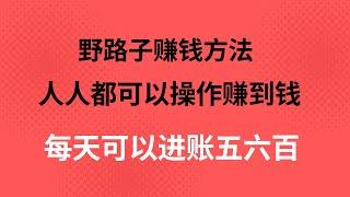 普通人也可以操作的网赚项目，野路子赚钱方法，一天进账五六百，全新赚钱方法！