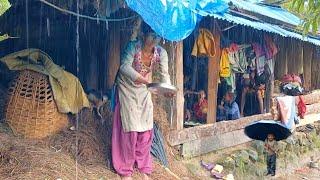 This is Himalayan Nepali village life|| Naturally And Beautiful Himalayan Rainy Season lifestyle