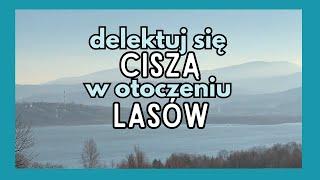 Domki Mała Tresna w Biernej – Twoje miejsce nad jeziorem! 