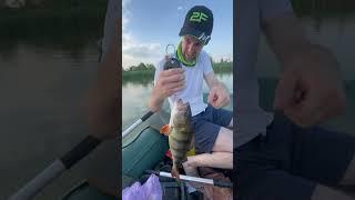 Вот теперь точно БЕГЕМОТ  #рыбак #fishing #рибу #риба #carpfishing #риболов #fish #рибалка #окунь