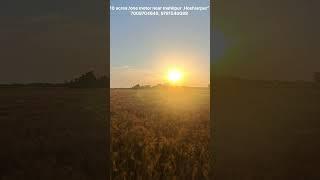 10 acres with one motor connection near mahilpur, Hoshiarpur.7009704640.