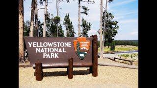 YELLOWSTONE NATIONAL PARK/ TOP SIGHTS YOU NEED TO KNOW #yellowstonenationalpark #plantwithsophievlog