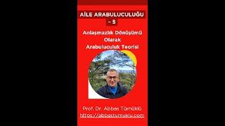 Aile Arabuluculuğu-5: Anlaşmazlık Dönüşümü Olarak Arabuluculuk Teorisi