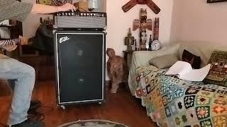 Elk 1960's guitar amp and Cabinet