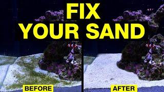 Top 10 Ways to Solve Dirty Saltwater Aquarium Sand.