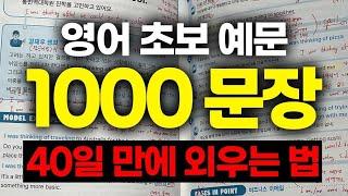 40일 동안 영어책 1권 완전히 씹어먹고서 벌어진 일. "결과, 과정 모두 미쳤습니다." | 평생 무료 | 수강생들의 찐 후기 | 공부법