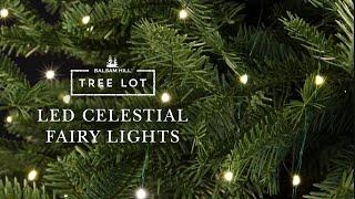 LED Celestial Fairy Lights | Tree Lot