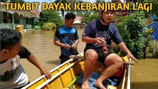 BANJIR DI KAMPUNG TUMBIT DAYAK (BERAU) DIA DATANG LAGI SETELAH LAMA PERGI