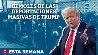 Emily Mendrala: Trump tiene que “negociar” para deportar masivamente a migrantes