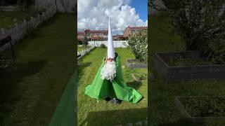 Гномы! МЕМ !!! #морковьпро