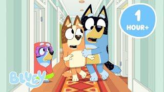 LIVE: Bluey Episodes that have Halloween Energy  | Bluey