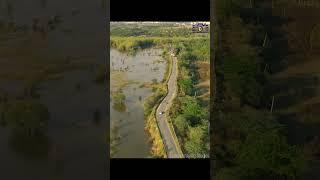 Beautiful Sunset scenic view on a lonely road #shorts #aerialshorts #aerialviews #djidrone