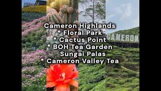 CAMERON HIGHLANDS MALAYSIA