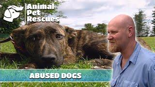 Neighbor's Shocking Complaint Sparks Concern for SPCA | Full Episode | Animal Pet Rescues