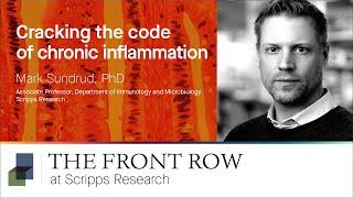 Cracking the Code of Chronic Inflammation