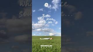 “Let His peace meet you here.” #Encircled #Faith #Prayer #ChristianMusic #Christ #God #May #Peace