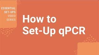 How Do I Set-up qPCR?