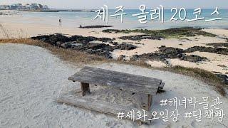 제주 올레 20코스 #제주해녀박물관 #평대전복 #세화오일장 #달책빵