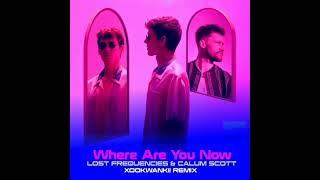 Lost Frequencies ft Calum Scott - Where Are You Now  ONEIDE SCHMORANTZ