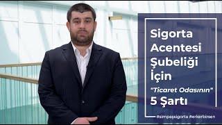 Sigorta Acenteliği Şubesi Açmak İçin Önemli 5 şart