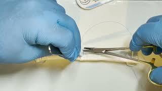 MASTER the Modified Kessler tendon repair IN JUST 2 MINUTES!