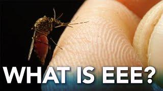 What is Eastern Equine Encephalitis (EEE)?