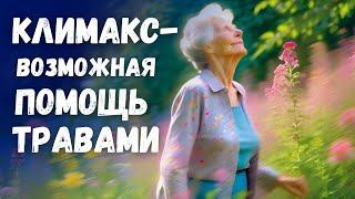 Климакс - возможная помощь травами