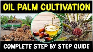 Oil Palm Cultivation - Complete Step by Step Farming Guide