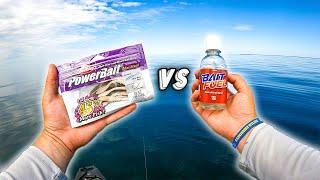 BaitFuel vs. MaxScent (I Caught a GIANT)